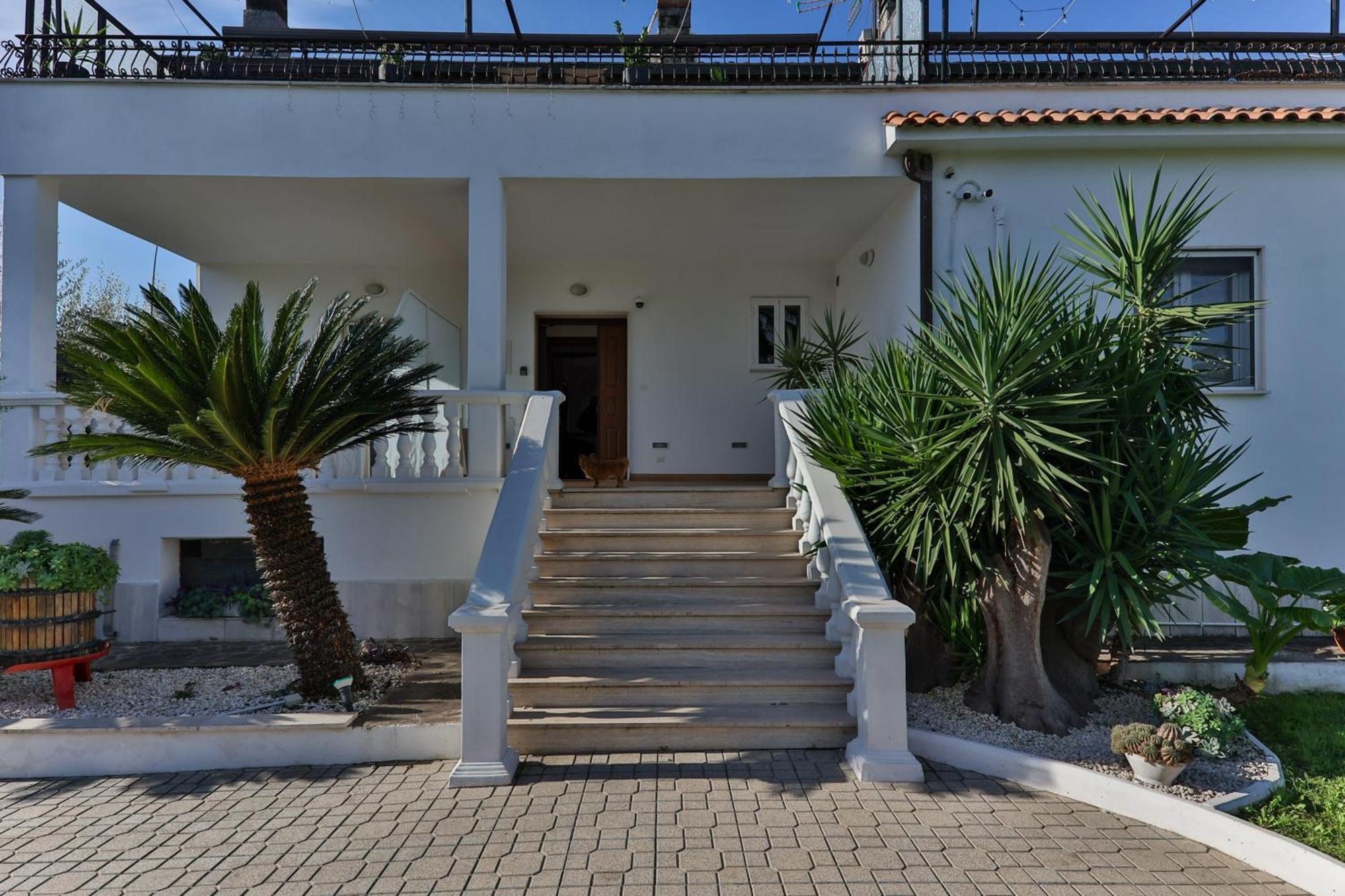 Il Giardino Di Stella Otel Frascati Dış mekan fotoğraf